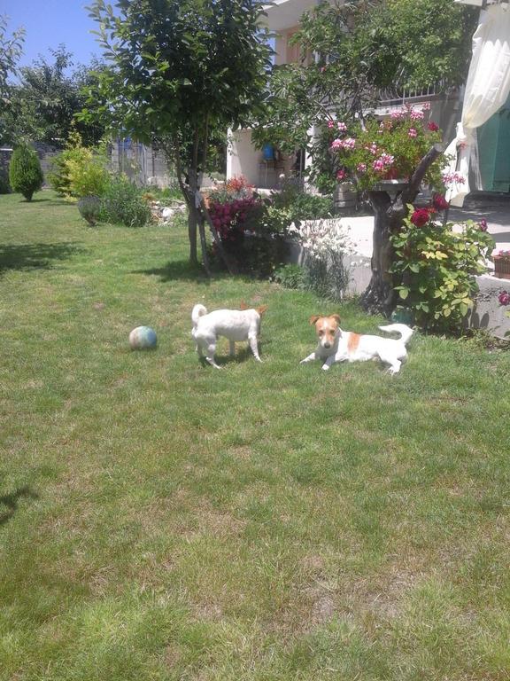 Stai Za Gosti Bazdarovi Apartment Byala  Bagian luar foto